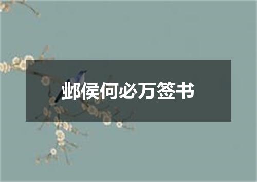 邺侯何必万签书
