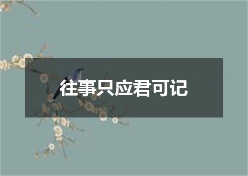 往事只应君可记