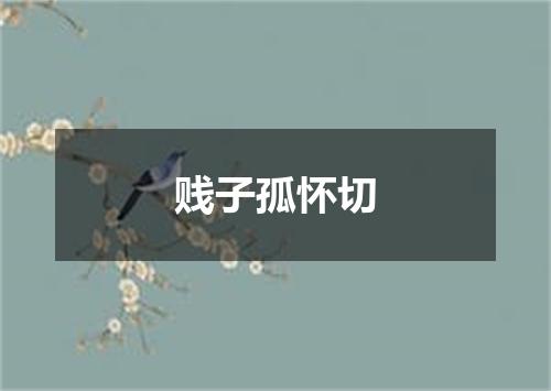 贱子孤怀切
