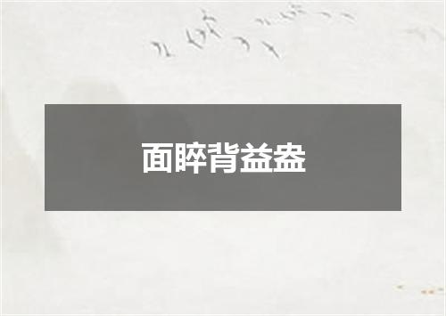 面睟背益盎