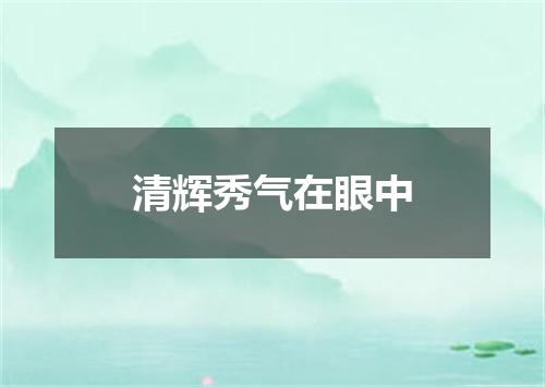 清辉秀气在眼中