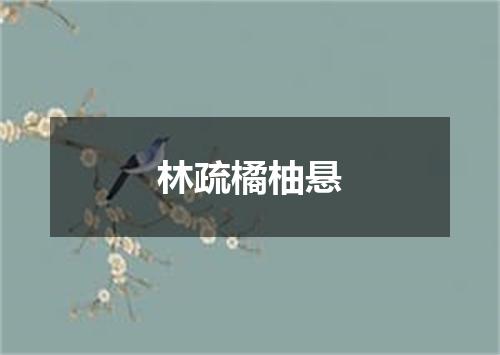 林疏橘柚悬