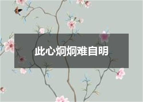 此心炯炯难自明