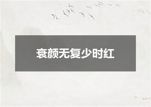 衰颜无复少时红