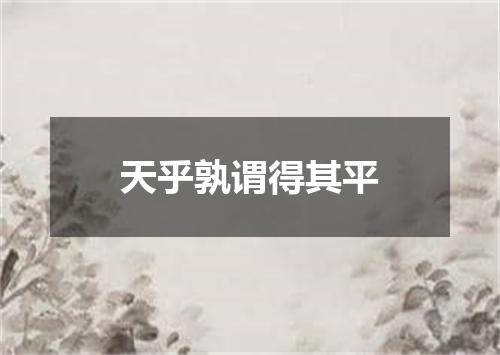 天乎孰谓得其平