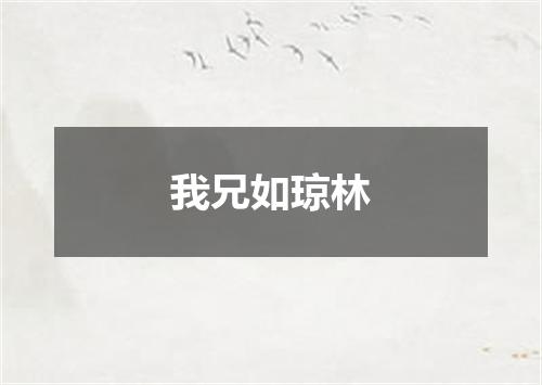 我兄如琼林