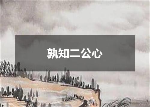孰知二公心