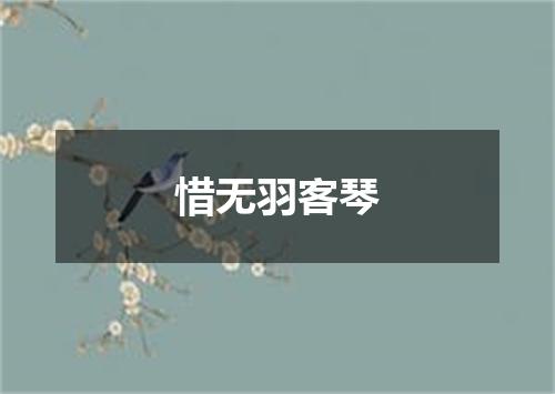 惜无羽客琴