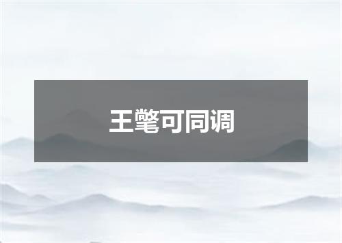 王氅可同调