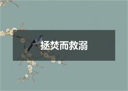 拯焚而救溺