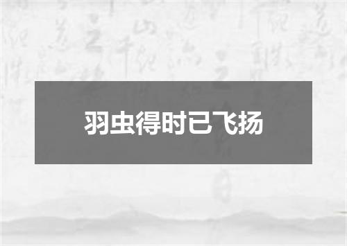 羽虫得时已飞扬