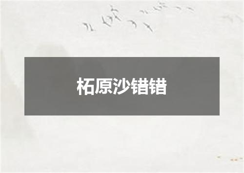 柘原沙错错