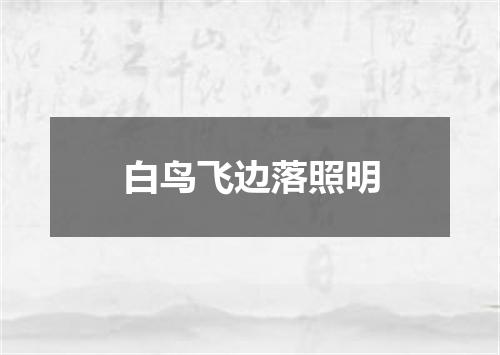 白鸟飞边落照明