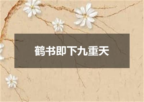 鹤书即下九重天