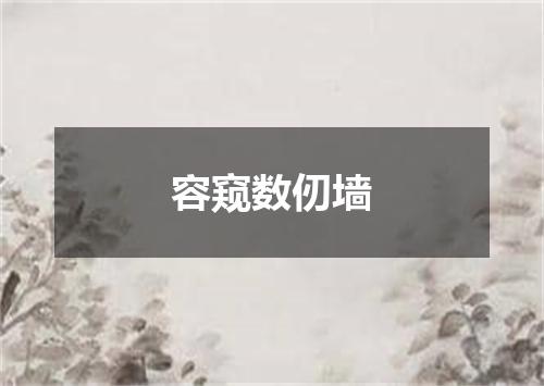 容窥数仞墙