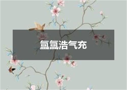 氲氲浩气充