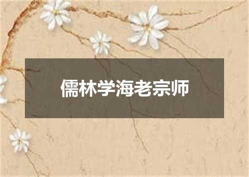 儒林学海老宗师