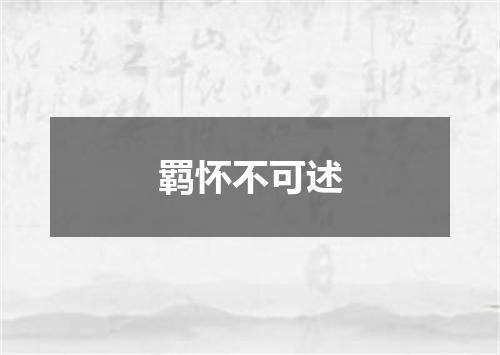 羁怀不可述