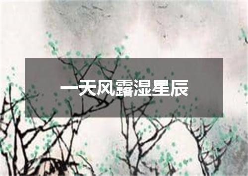 一天风露湿星辰