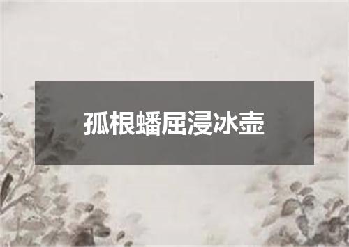 孤根蟠屈浸冰壶