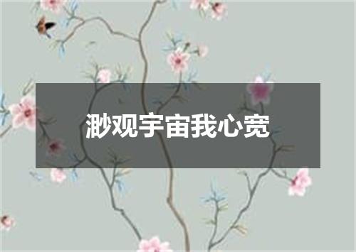 渺观宇宙我心宽