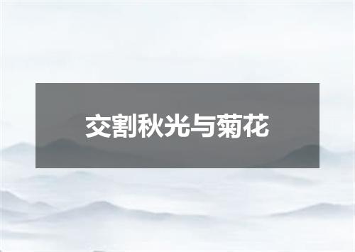 交割秋光与菊花