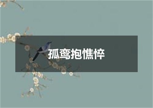 孤鸾抱憔悴