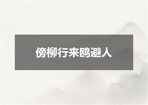 傍柳行来鸥避人