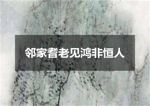 邻家耆老见鸿非恒人