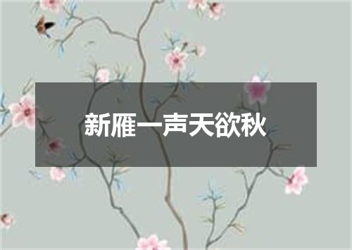 新雁一声天欲秋