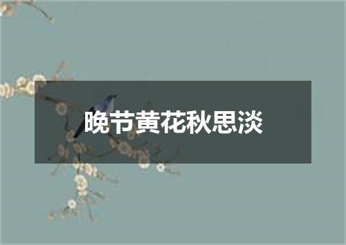 晚节黄花秋思淡