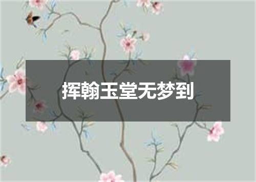 挥翰玉堂无梦到