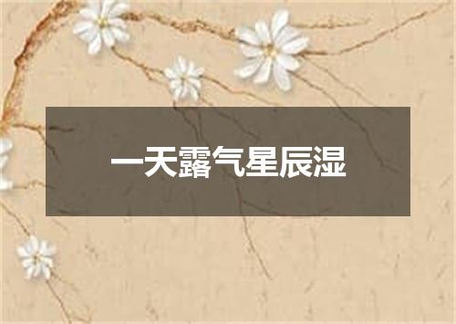 一天露气星辰湿