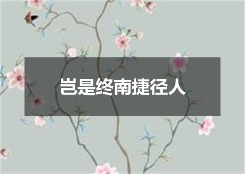 岂是终南捷径人