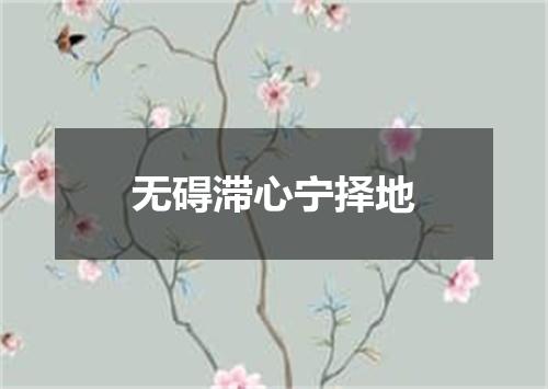 无碍滞心宁择地