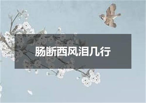 肠断西风泪几行