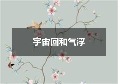 宇宙回和气浮