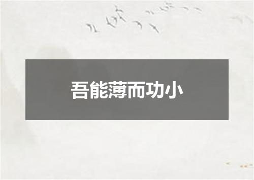 吾能薄而功小