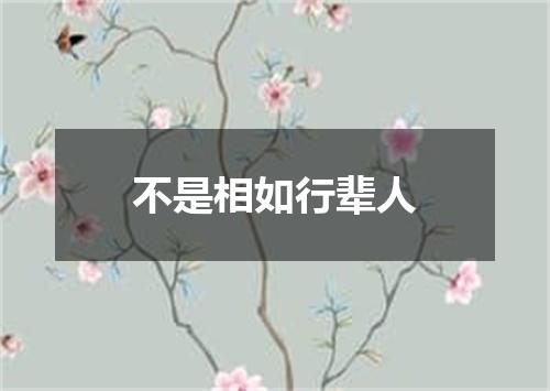 不是相如行辈人