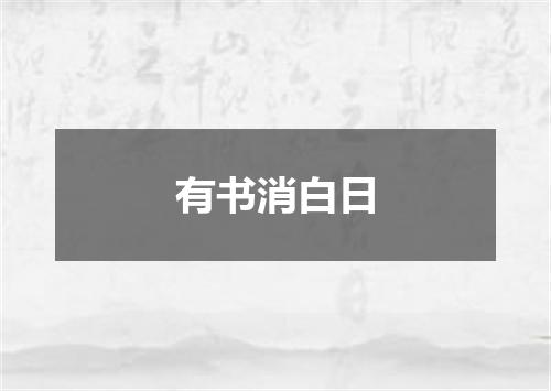 有书消白日