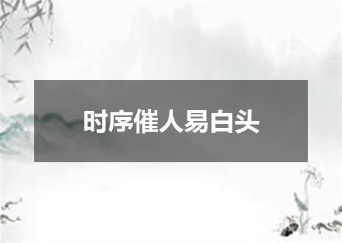 时序催人易白头