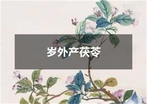 岁外产茯苓
