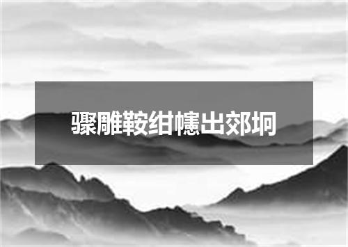 骤雕鞍绀幰出郊坰