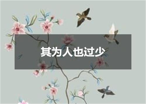 其为人也过少