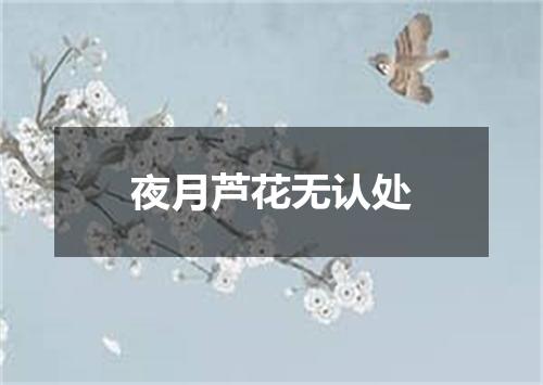 夜月芦花无认处