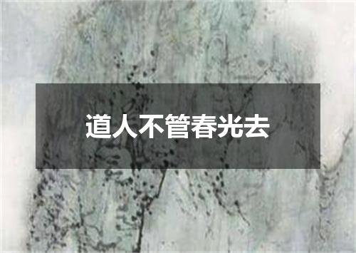 道人不管春光去