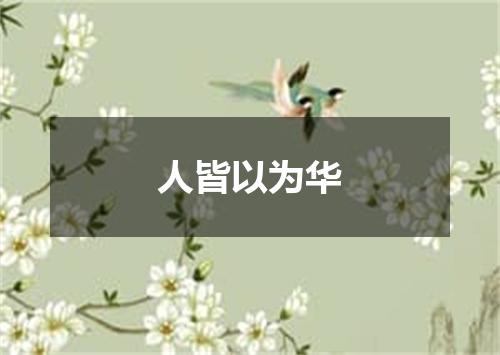 人皆以为华