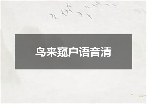 鸟来窥户语音清