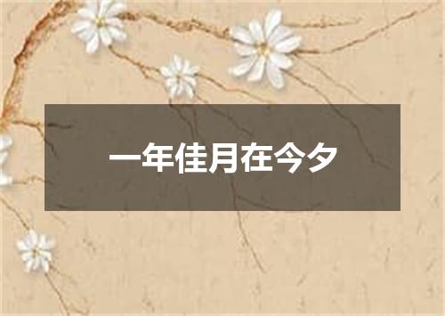 一年佳月在今夕