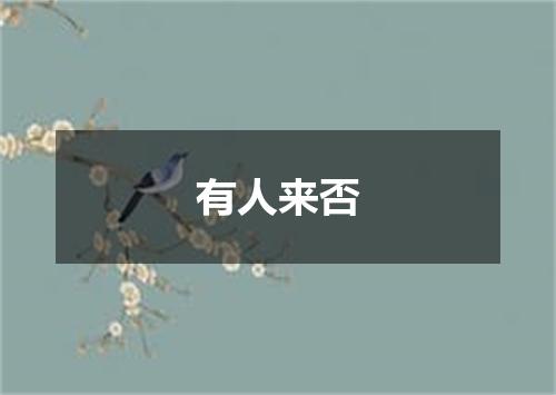 有人来否